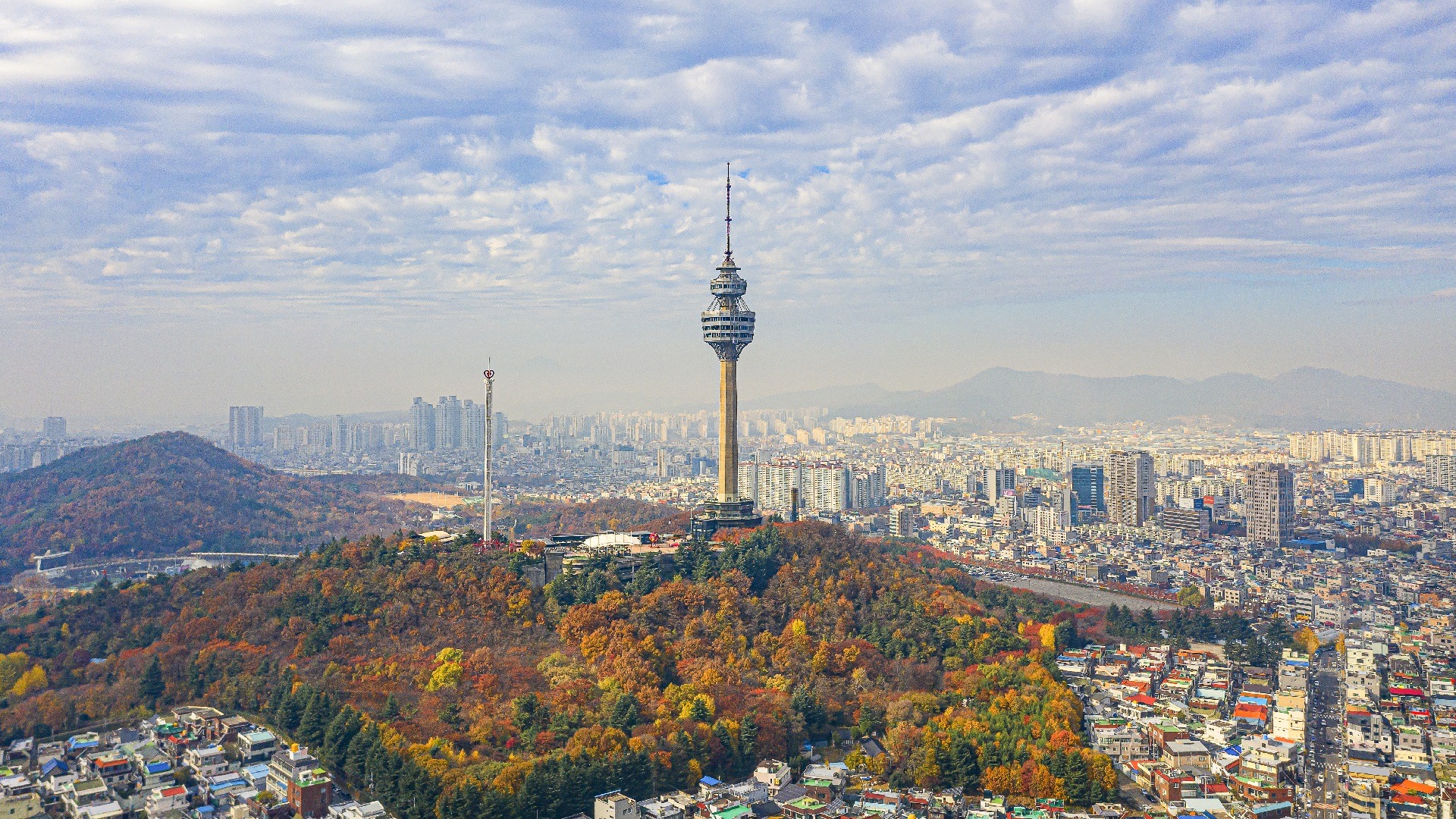 Daegu